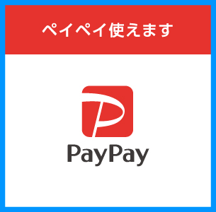 p[NStxPayPayg܂